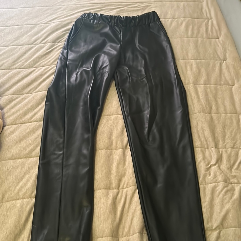 Pleather pants The Drop
